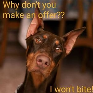 If you like something it just makes sense